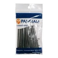 ราคา 60159523 ตะปูตอกไม้ PAN SIAM ขนาด เบอร์ 13 x 2 นิ้ว (แพ็ค 0.1กก.) (15225764364)