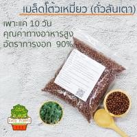 ราคา เมล็ดพันธุ์คุณภาพสูงในสต็อกในประเทศไทยเมล็ดอวบอ้วน ถั่วลันเตา โต้วเหมี่ยว ต้นอ่อนถั่วลันเตา 500 กรัม สำหรับเพาะงอก อัตรา (21452469892)