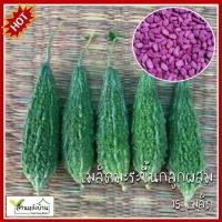 ราคา 15 เมล็ด มะระขี้นกลูกผสม เมล็ดมะระขี้นกลูกผสม เมล็ดมะระขี้นก มะระขี้นก เมล็ดมะระ มะระ (28782211194)