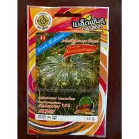 ราคา เมล็ดฟักทองลายข้าวตอก 10 แถม 1 ฟักทองลาย pumpkin เมล็ดพันธุ์ผัก ฟักทอง (17569374844)