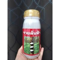 ราคา ยาทาหน้ายาง รวยล้นฟ้า สูตร 3 พลัง หน้ายางกรีดง่าย หน้ายางไม่เกิดรา น้ำยางออกเต็มหน้า ใช้น้อยออกฤทธิ์ยาวนาน (42568781235)