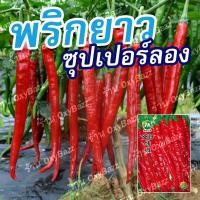 ราคา เมล็ดพันธุ์พริกยาวโจลอง เมล็ดพริกยาว 100เมล็ด พริกโจลอง Jo Long Pepper Seeds (24756883273)