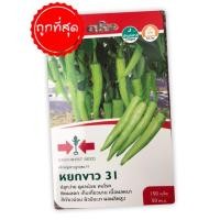 ราคา เมล็ดพันธุ์ผักศรแดง พริกหนุ่มขาว หยกขาว 31 ถูกที่สุด (5538128181)