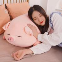 ราคา ตุ๊กตาหมูน้อยน่ารักหมอนสาวนอนของเล่นตุ๊กตาหมูตุ๊กตาเด็กน่ารักสุดน่ารักสาวของขวัญวันเกิด (57411119662)