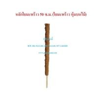 ราคา (5อัน) เสาใยมะพร้าว ไม้เลื้อย ยาว 50ซม. หลักไม้เลื้อยใยมะพร้าว เสาไม้เลื้อย เสาต้นไม้ หลักมะพร้าว หลักใยมะพร้าว หลักไม้เ (15441664253)
