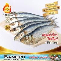 ราคา ปลาหลังเขียวใหญ่ ถอดเกล็ด ตากแห้ง 1 kg. ปลาสองแดด ไร้เกล็ด ขนาดใหญ่ Tuyo Dried fish (ปลาหลังเขียวเค็ม ปลาไม่เค็มมาก (28354342517)
