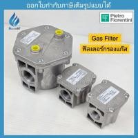 ราคา ฟิลเตอร์กรองแก๊ส, Gas Filter Pietro Fiorentini (56559079638)
