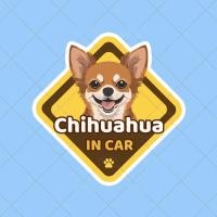 ราคา สติ๊กเกอร์ติดรถยนต์ สติ๊กเกอร์กันน้ำ Dog in car sticker ในรถมีหมา สติกเกอร์หมา ชิวาวา Chihuahua - COBZA631 (24413175306)