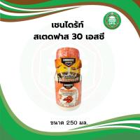 ราคา Chaindrite เชนไดร้ท์ สเตดฟาส 30 เอสซี น้ำยากำจัดปลวก แบบเข้มข้น 250 มล. (57606897921)