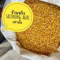 ราคา ถั่วเหลืองซีก 5 กิโล เลาะเปลือก ใหม่ สะอาด สำหรับทำอาหาร (23725736219)