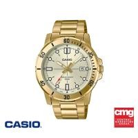 ราคา CASIO นาฬิกาข้อมือ CASIO รุ่น MTP-VD01G-9EVUDF วัสดุสเตนเลสสตีล สีขาว (2177447446)