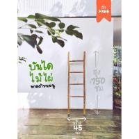 ราคา บันไดไม้ไผ่ พาดผ้าขนหนู (4268822513)