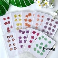 ราคา 【พร้อมส่ง】ดอกเวอร์บีน่า ดอกเวอร์บีน่าทับ ดอกไม้ทับแห้ง ดอกไม้จริงทับแห้ง Pressed Flowers (13636023641)