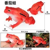 ราคา Madagascar Wild จําลองสัตว์มะเขือเทศกบของเล่นเด็ก Tropical Rainforest Anton Gilli กบสีแดง (44481383766)