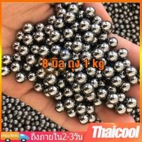 ราคา ลูกเหล็กร่อนเงา ลูกเหล็กขัดเงา ลูกเหล็ก ลูก เหล็กแบริ่ง ขนาด ลูก 8 มิล 8mm (1Kg) (20485102341)