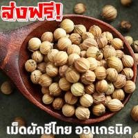 ราคา Qinna เม็ดผักชี 1KG Coriander seeds เมล็ดผักชี เม็ดผักชี ผักชี ผักชีไทยเผักชี เม็ดผักชี ผักชีเมล็ดผักชี เม็ดผักชี (27886169415)