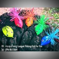 ราคา โบคายอย by ลุงใหญ่ (Lungyai) (955069754)