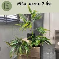 ราคา เฟิร์นมะขาม 7 กิ่ง ยาง ต้นไม้ประดิษฐ์ (27312366674)