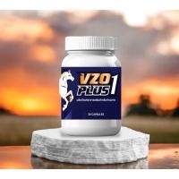 ราคา อาหารเสริมสำหรับท่านชาย VZO PLUS1/ตัวช่วยของผู้ชาย 1กระปุกมี 30 เม็ด (26621277835)