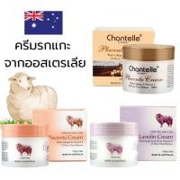ราคา Careline ครีมรกแกะ Lanolin & Placenta Cream ขนาด 100 ML นำเข้าจากออสเตรเลีย (23536684149)