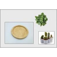 ราคา wood coaster ที่รองจาน จานรองแก้ว จำนวน 1 ชิ้น จานรองแก้วไม้ยางกลม จานรองเครื่องดื่ม แผ่นรองแแก้ว พร้อมส่ง (7435261656)