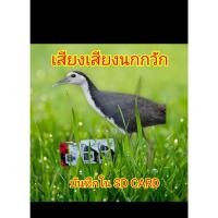 ราคา เสียงนกกวักบันทึกในเอสดีการ์ด sd card (26471345357)