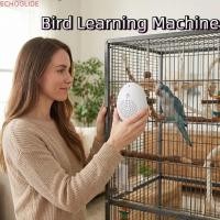 ราคา ECHOGLIDE Parrot สอนพูดคุย, Playback Timer-Controlled Bird Learning|สอน Talking Interactive Multi Segment Audio Source Recording Parrot เครื่องบันทึกเสียงการศึกษา Purpose (53961191749)