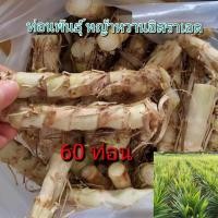 ราคา จัดส่ง1-2วัน ท่อนพันธุ์หญ้าหวาน60ท่อน หญ้าหวานอิสราเอลพร้อมปลูก พันธ์หญ้าหวานอิสราเอล หญ้าอาหารสัตว์กินพืช (18581433555)