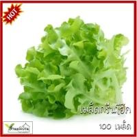 ราคา 100 เมล็ด กรีนโอ๊ค เมล็ดกรีนโอ๊ค เมล็ดผักสลัด ผักสลัด (26424635791)