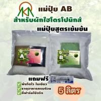 ราคา ปุ๋ย AB ชุด5ลิตร สำหรับปลูกผักไฮโดรโปนิกส์ แม่ปุ๋ยคุณภาพดีราคาถูก มีธาตุอาหารครบถ้วน ใบเขียวสวยน้ำหนักดี รากขาวแข็งแรง (43224794195)