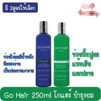 ราคา Go Hair 250ml โกแฮร์ บำรุงผม 250มล (22241024866)