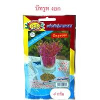 ราคา บีทรูท ต้นอ่อน บีทรูทงอก (4 กรัม) (43750320670)