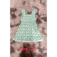 ราคา ชุดเดรสเด็ก สีเขียวลายเชอร์รี่แต่งระบายน่ารัก Size 120 (25192445821)