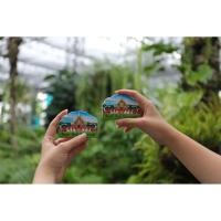 ราคา Magnetติดตู้เย็น แม่เหล็กติดตู้เย็น Magnetลายหอคำหลวง Magnetสินค้าของฝากของที่ระลึก [อุทยานหลวงราชพฤกษ์] (7242259397)