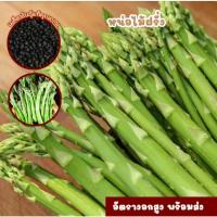ราคา เมล็ดพันธุ์หน่อไม้ฝรั่ง ซองละ 30 เมล็ด (46502997374)