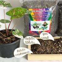 ราคา โปรโมชั่นพิเศษ20แถม2ส่งฟรี ♻️วัสดุปลูกบอนสีเกรดพรีเมี่ยม♻️แช่น้ำได้เลยไม่ต้องกลัวเน่า วัสดุปลูกใหม่ใบก้ามปูหมักอย่างดี (12621397161)