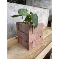 ราคา อิฐมอนแดงสำหรับตกแต่งสวน (9954189267)