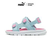 ราคา PUMA Kids รองเท้าแตะสำหรับเด็ก PUMA Evolve สีฟ้า - 38914709 (46701141354)