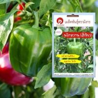 ราคา เมล็ดพันธุ์พริกหวานสีเขียว – Green California Wonder Pepper (เมล็ดพันธุ์คุณภาพดี) (6240173914)