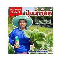 ราคา ปุ๋ยน้ำแพนต้าโกรว์ ตราพ่อใหญ่สัมฤทธิ์ บำรุงพืช แข็งแรง ใบเขียว ขวด 500 ml. (26370362144)