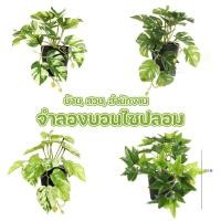 ราคา ต้นบอนไซจำลอง ใบไม้ปลอม จำลองพืชบอนไซ สําหรับตกแต่งบ้านสวน ออฟฟิศ พร้อมกระถางต้นไม้ (51008699415)