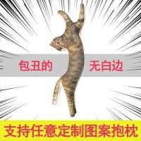ราคา Diy来图定制抱枕猫咪宠物照片定做枕头人形玩偶狗异形靠垫无白边4/27Customized DIY Pillow with Pet Photo, Personalized Pillow, Human-shaped Plush Toy, Dog-shaped Cushion Without White E (45459552954)