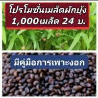 ราคา เมล็ดผักบุ้งเพาะงอก1,000เมล็ด เมล็ดผักบุ้งเพาะต้นอ่อน เมล็ดผักบุ้ง เมล็ดต้นอ่อนผักบุ้ง เมล็ดพันธุ์ ผักบุ้งงอก ผักบุ้ง (6534532200)