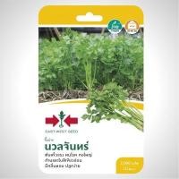 ราคา ขึ้นฉ่าย นวลจันทร์ 2000เมล็ด ศรแดง (4687297878)