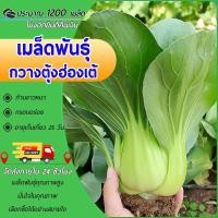 ราคา 1200 เมล็ด เมล็ดพันธุ์ กวางตุ้งฮ่องเต้ เมล็ดพันธุ์แท้100% นำเข้าจากต่างประเทศ กวางตุ้งปลูกง่าย (27265889970)