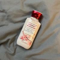 ราคา bath & body works body lotion โลชั่นกลิ่น japanese cherry blossom (19945797690)
