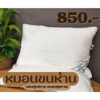 ราคา หมอนขนห่าน หมอนโรงแรม (16978971898)
