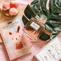 ราคา แผ่นน้ำหอม กลิ่น มิสดิออร์ จาก Ted a car และ Bunnyfresh (14526802351)