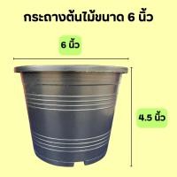 ราคา กระถางต้นไม้พลาสติก สีดำ ขนาด 5 นิ้ว หลากหลายขนาด (40130970204)