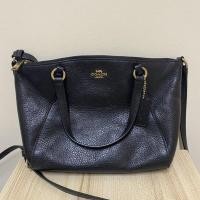 ราคา Coach ทรงพัด 10” สีดำ (3278817195)